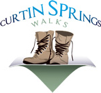 Curtin Springs Experiences